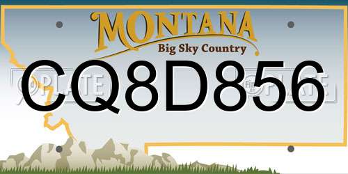 CQ8D856 Montana License Plate