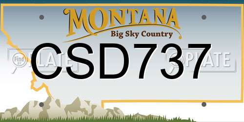 CSD737 Montana License Plate