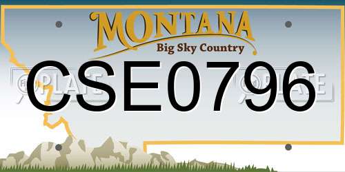 CSE0796 Montana License Plate