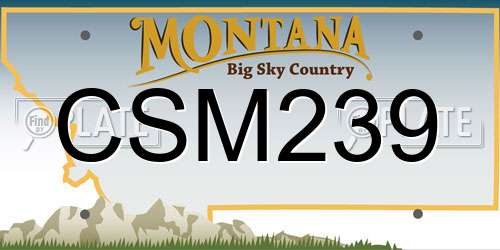 CSM239 Montana License Plate