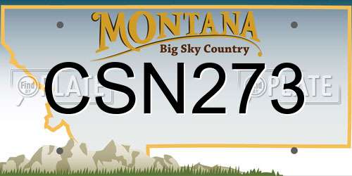 CSN273 Montana License Plate