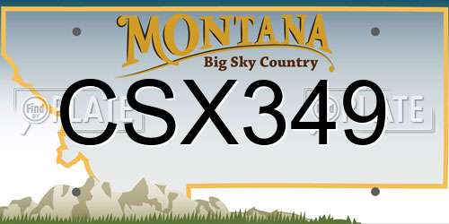 CSX349 Montana License Plate