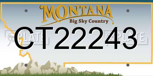 CT22243 Montana License Plate