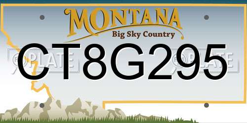 CT8G295 Montana License Plate