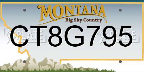CT8G795 Montana License Plate