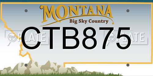 CTB875 Montana License Plate