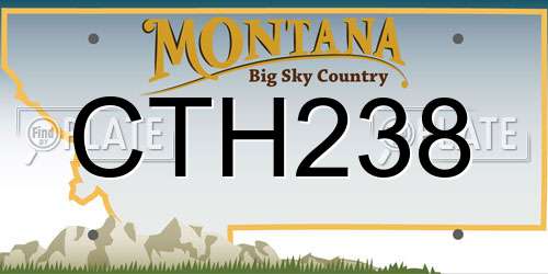 CTH238 Montana License Plate