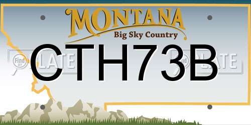 CTH73B Montana License Plate