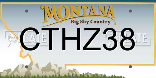 CTHZ38 Montana License Plate