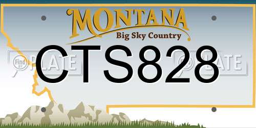CTS828 Montana License Plate