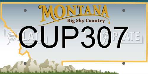 CUP307 Montana License Plate