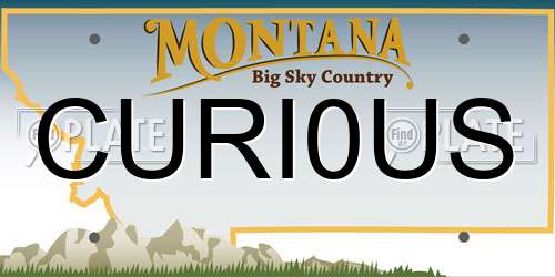 CURI0US Montana License Plate