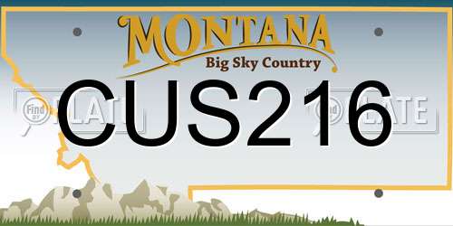 CUS216 Montana License Plate
