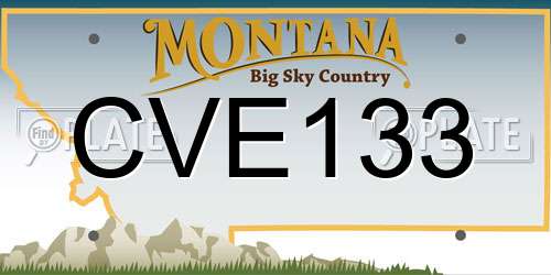 CVE133 Montana License Plate