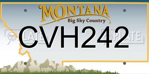 CVH242 Montana License Plate