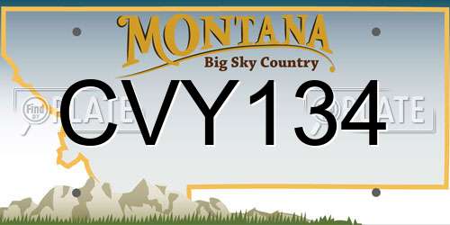 CVY134 Montana License Plate