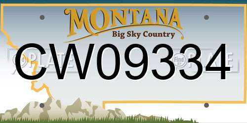 CW09334 Montana License Plate