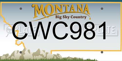 CWC981 Montana License Plate