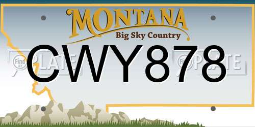 CWY878 Montana License Plate
