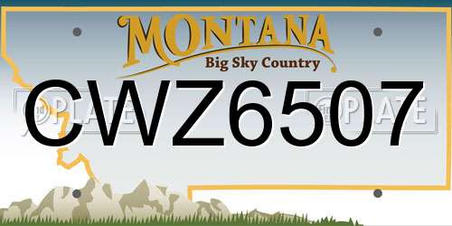 CWZ6507 Montana License Plate