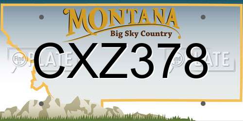 CXZ378 Montana License Plate