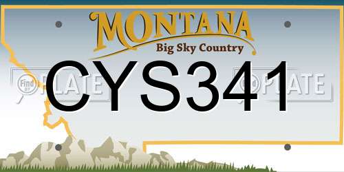 CYS341 Montana License Plate