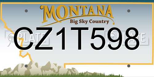 CZ1T598 Montana License Plate