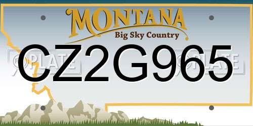CZ2G965 Montana License Plate
