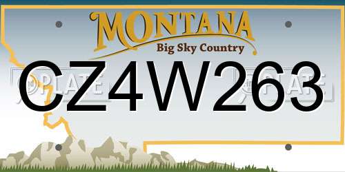 CZ4W263 Montana License Plate