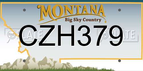 CZH379 Montana License Plate