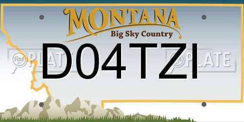 D04TZI Montana License Plate