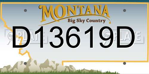 D13619D Montana License Plate