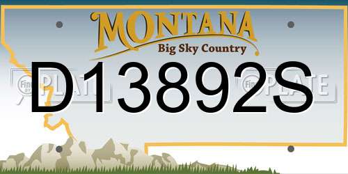 D13892S Montana License Plate