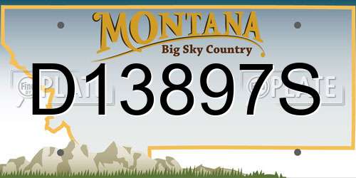 D13897S Montana License Plate