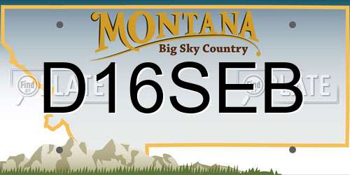 D16SEB Montana License Plate