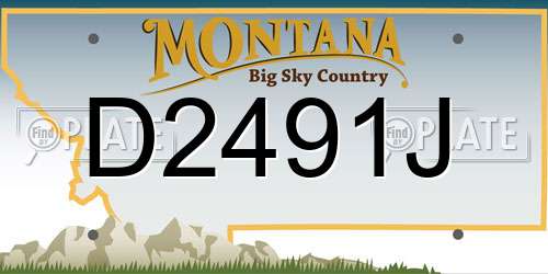 D2491J Montana License Plate