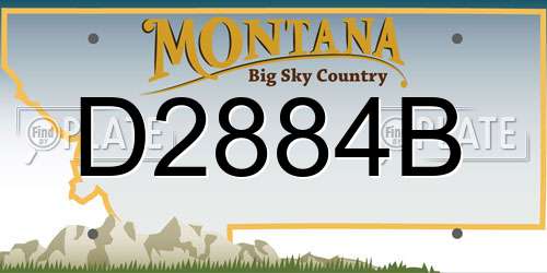 D2884B Montana License Plate