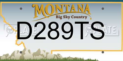 D289TS Montana License Plate