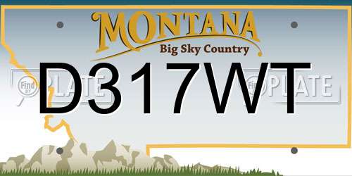 D317WT Montana License Plate