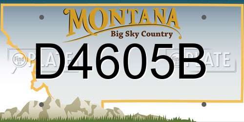 D4605B Montana License Plate