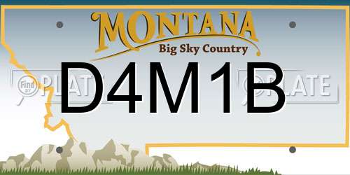 D4M1B Montana License Plate