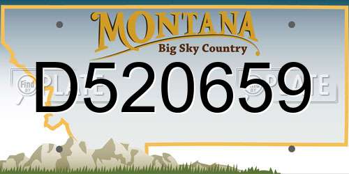 D520659 Montana License Plate