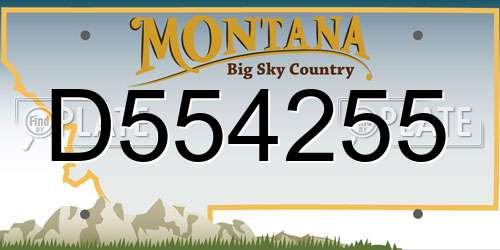 D554255 Montana License Plate