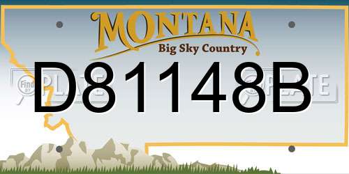 D81148B Montana License Plate