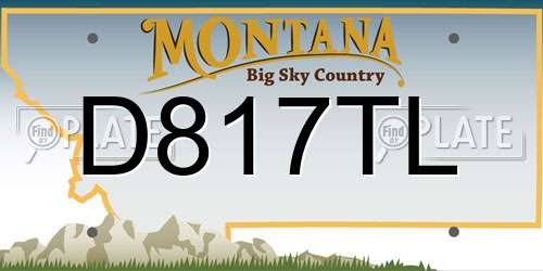 D817TL Montana License Plate