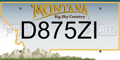 D875ZI Montana License Plate