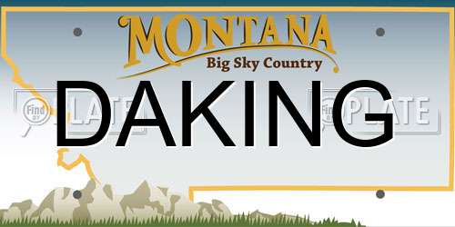 DAKING Montana License Plate
