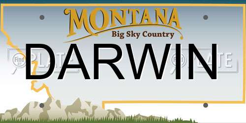 DARWIN Montana License Plate