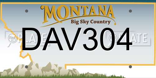 DAV304 Montana License Plate