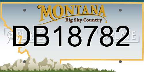 DB18782 Montana License Plate